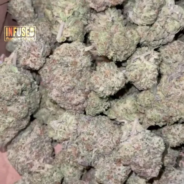 Grape gas strain